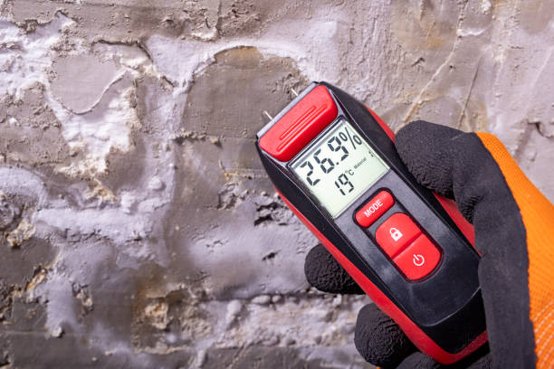 Best Mold Testing  in , MD